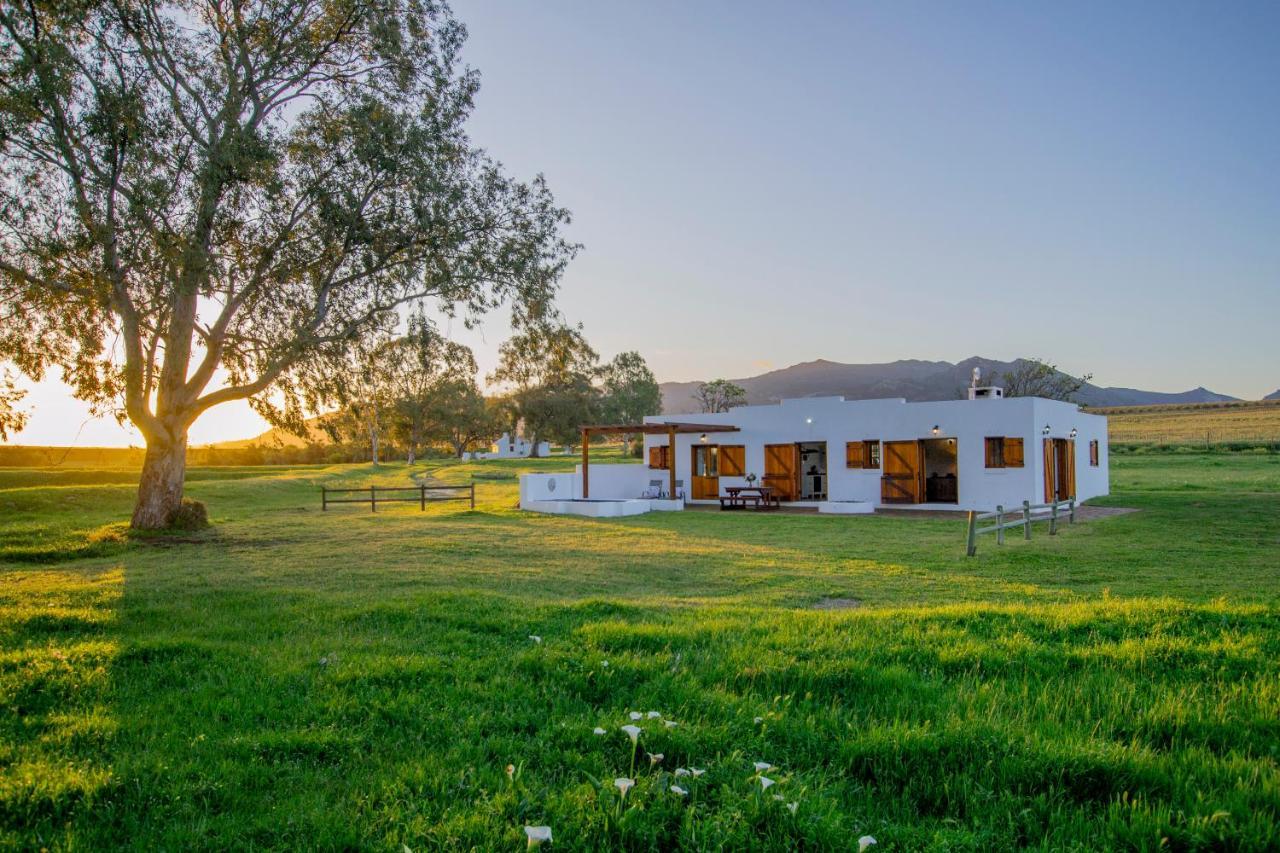 Appartamento Denneboom Vineyards And Wildlife Paarl Esterno foto