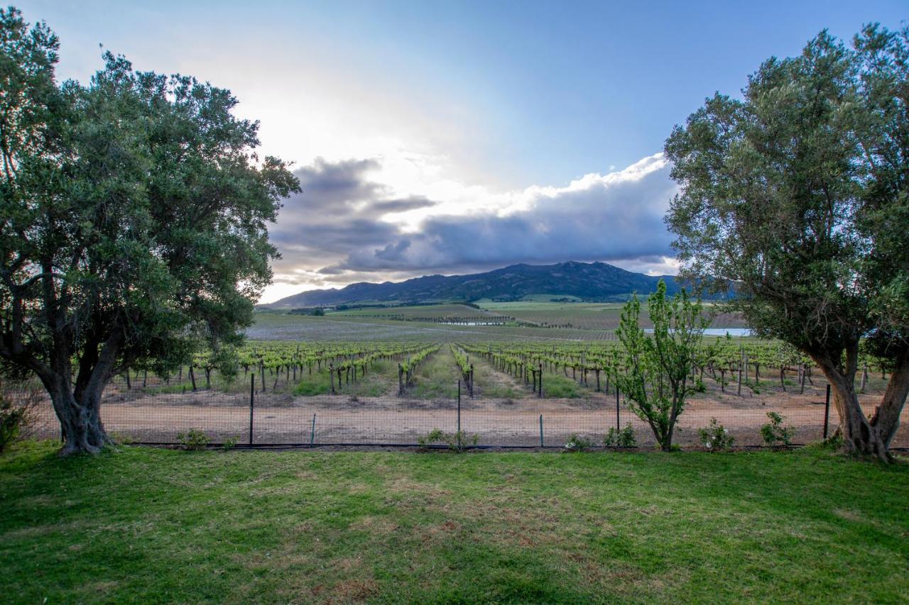 Appartamento Denneboom Vineyards And Wildlife Paarl Esterno foto