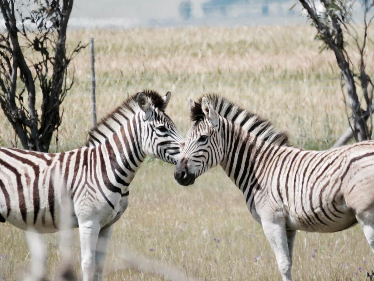 Appartamento Denneboom Vineyards And Wildlife Paarl Esterno foto